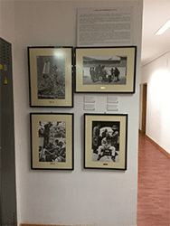 Fotograf&iacute;as de la exposici&oacute;n en la pared de la salida del Ascensor frente al Sal&oacute;n de Plenos del Ayuntamiento